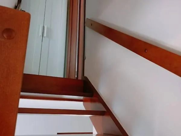 Brzozowy Gaj * Jastrzębia Góra